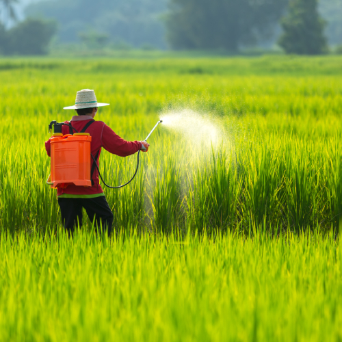 Agriculture